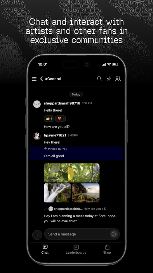 Steelo app community feed
